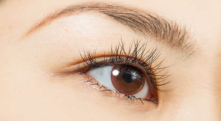 Close up of Asian woman's brown eye with double eyelid.
