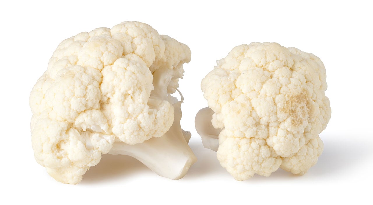 Cauliflower on white background to represent cauliflower ear deformity.